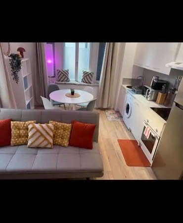 Appartement T3 45M² Rénové et Climatisé