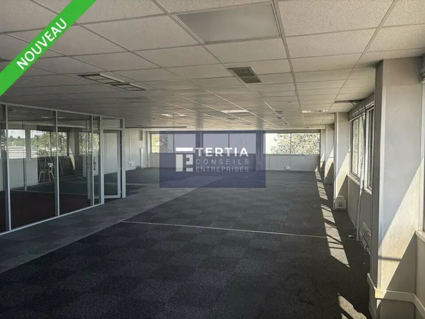 Bureaux 242 m²