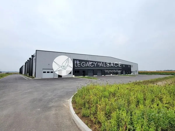 LOCAL PROFESSIONNEL - 162,70M2 - FEGERSHEIM