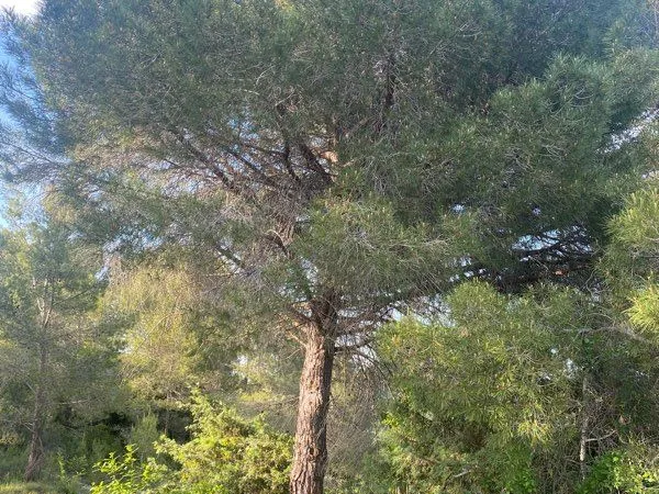 Terrain de loisirs