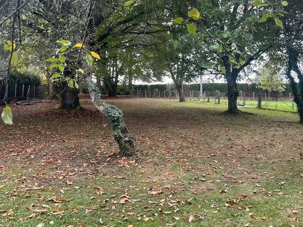 Terrain NEXON