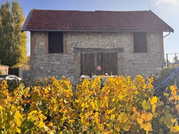 Maison 1 pièce 54 m²