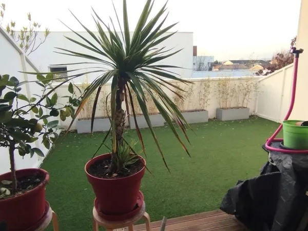 2 pièces terrasse