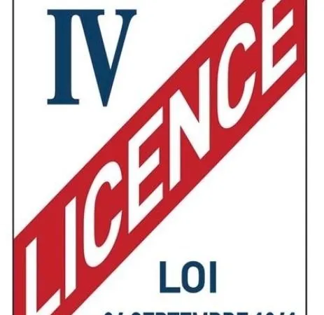 Licence 4 Lille Centre / Vieux-Lille