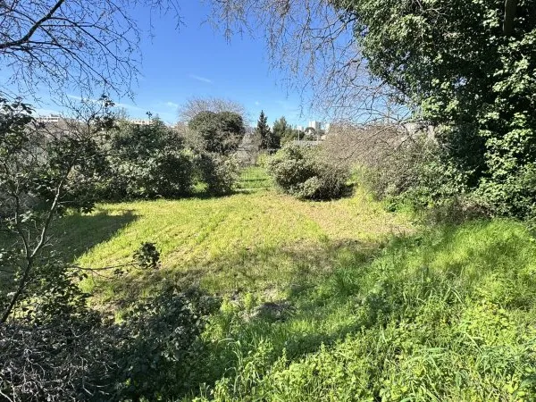 Terrain à bâtir