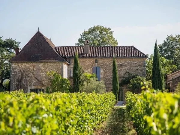 Domaine viticole bio avec belle maison de vigneron et chai tout équipé