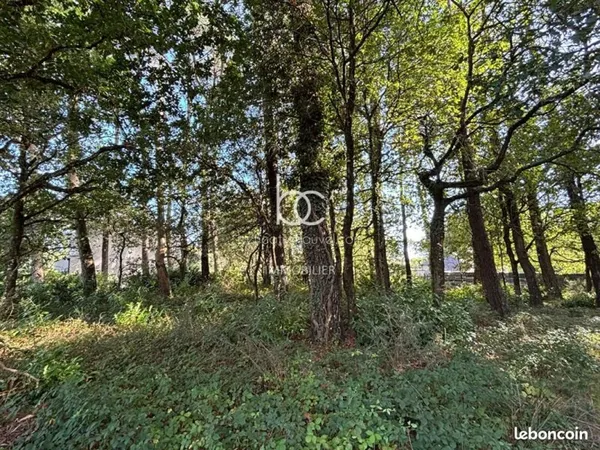Terrain 1 317 m² Vannes
