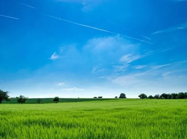 Terrain 710 m²