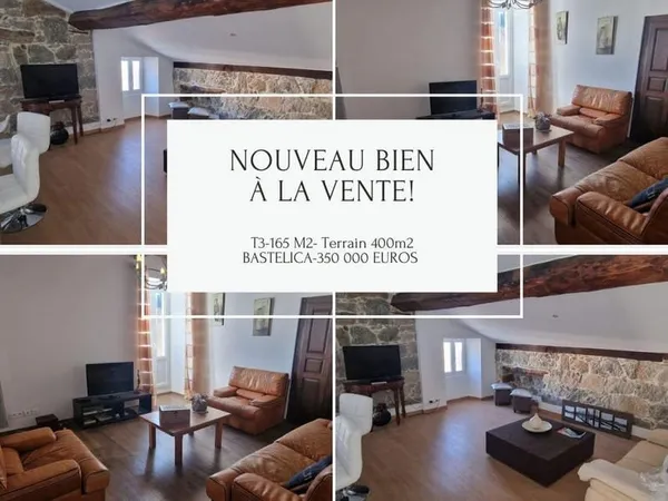 Bien immobilier de rendement Vente Bastelica 9p 165m² 350000€