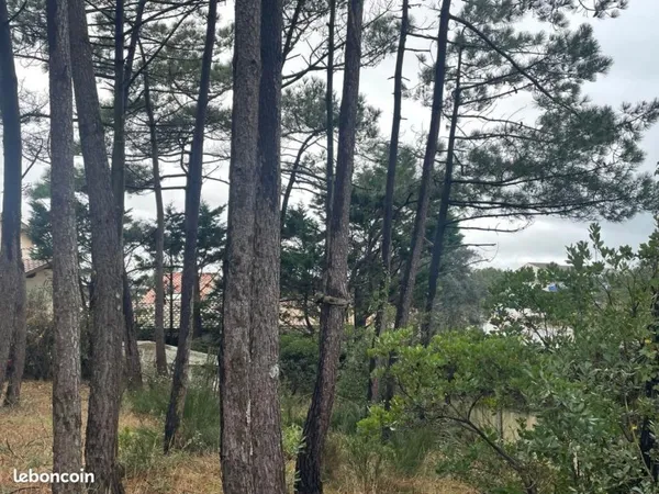 Terrain 468 m² Lacanau