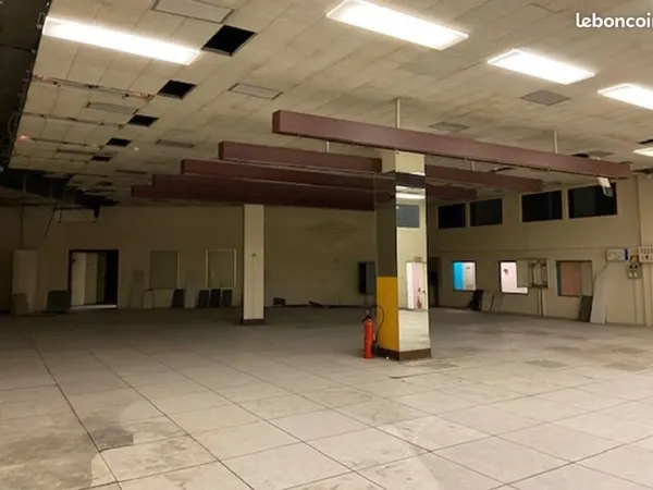 Local bureaux 1 596 m²