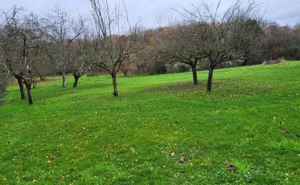 Beau terrain à bâtir de 2014 m2 dans quartier calme. Largeur 25 m, Longueur 85 m.