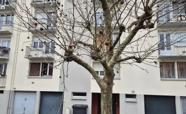 Appartement 2 pièces 28 m²
