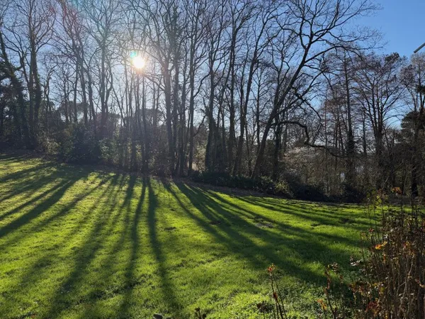 Superbe environnement pour cet appartement