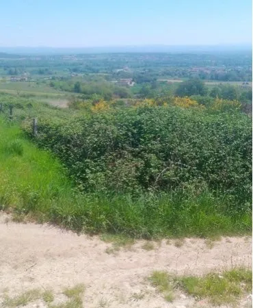 Terrain agricole 1270 m