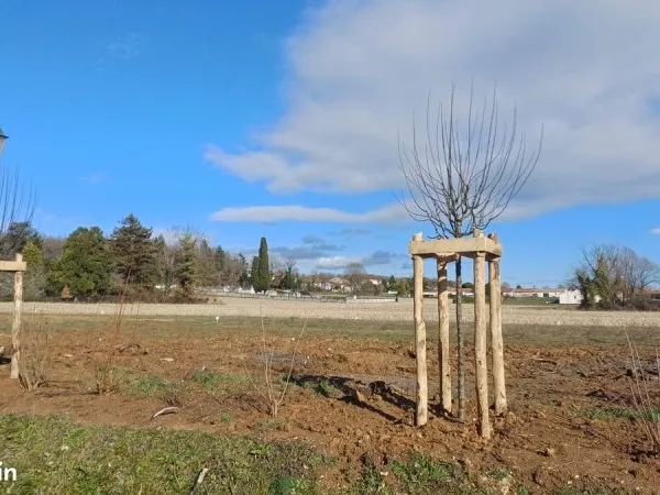 Terrain à bâtir