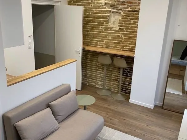 Studio meublé avec Terasse - Toulouse 31500
