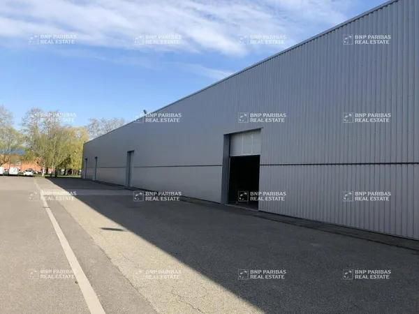 Local d'activité 514 m²