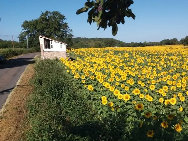 Vente terrain agricole et grange