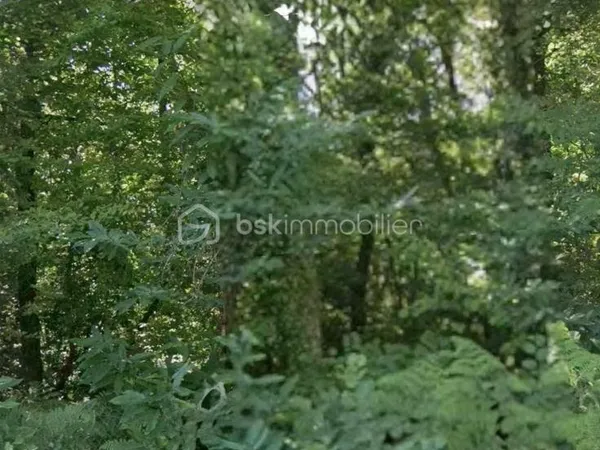Terrain constructible