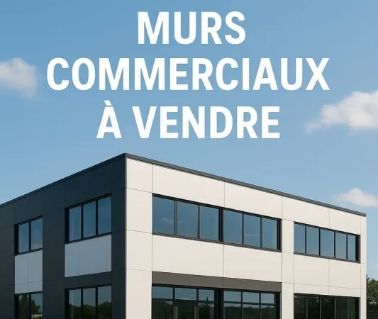 VENTE MURS COMMERCIAUX