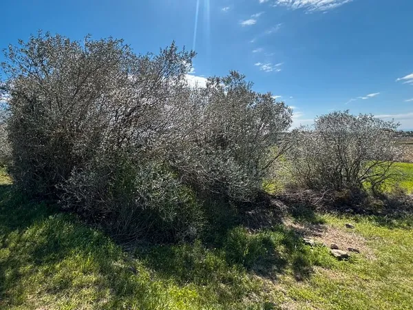 Terrain 1800m2 à vendre
