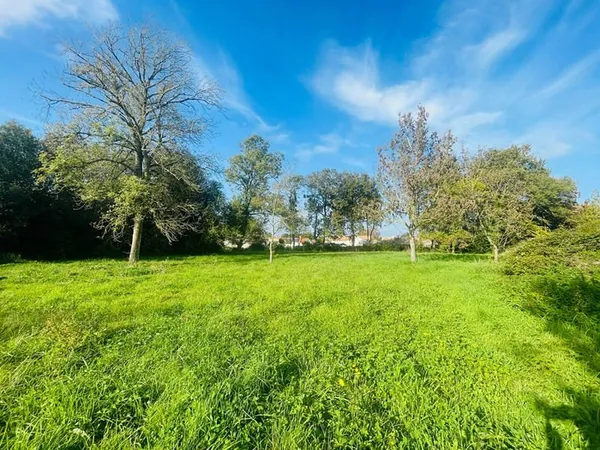 COMMEQUIERS - Beau terrain arboré à bâtir de 2 472 m².