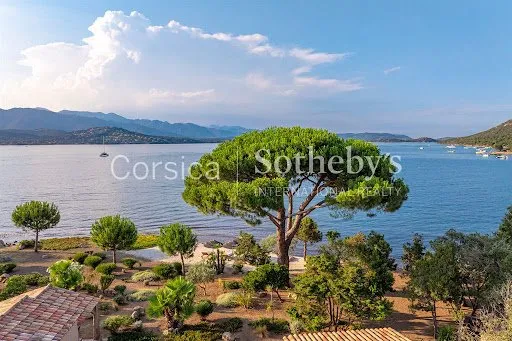 Villa 6 pièces 250 m²