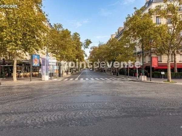 Local commercial 280 m²