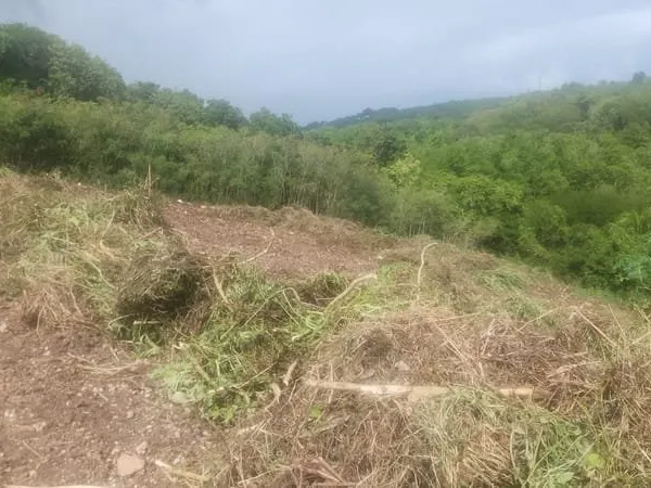ANSE A LA BARQUE Terrain constructible de 1428m² VUE MONTAGNE