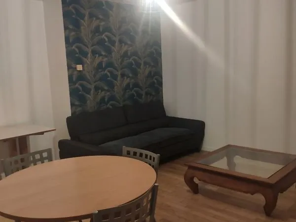 Charmant T2 meublé de 53 m² au coeur de Saint-Galmier
