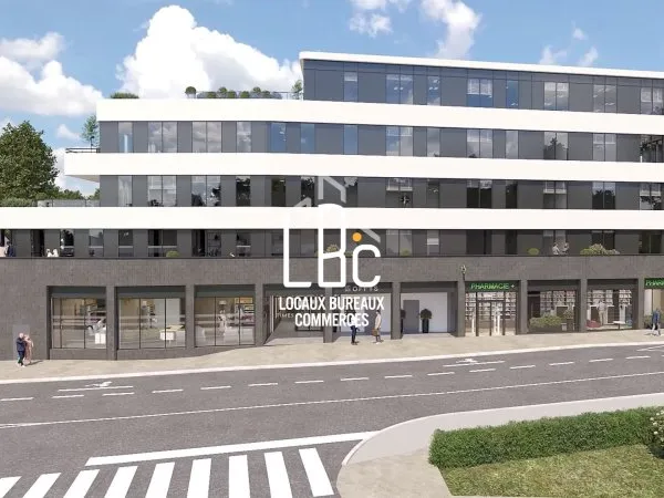 Local professionnel 323 m²