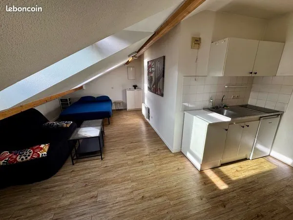 Studio meublé 29m² face au parc de la tête d'Or Lyon 04