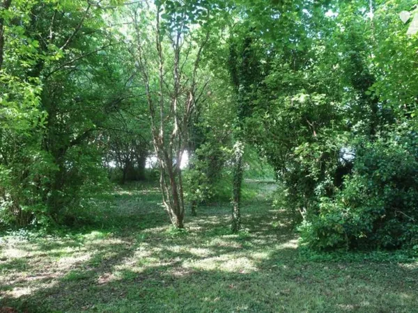 Terrain 1567 m²