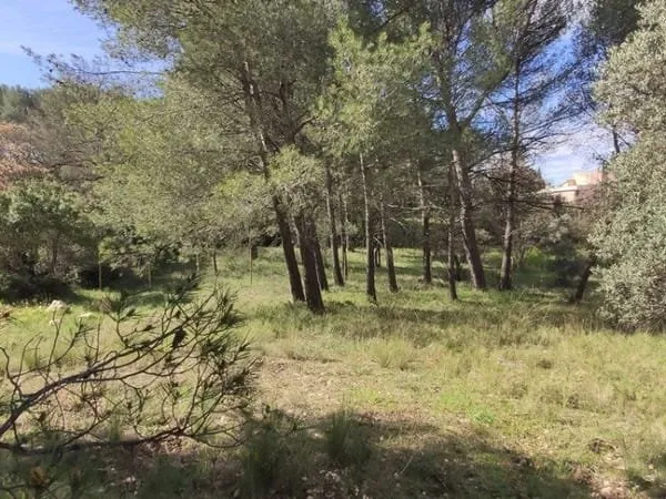 Terrain 1060 m²