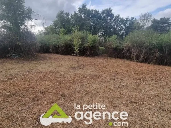 Terrain 1000 m²