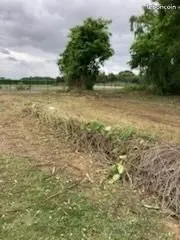 Terrain constructible Champagnolles