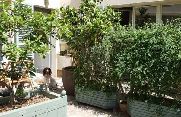 COEUR NOTRE DAME, 6P, 5CH, 160M² - TERRASSE + PARKING