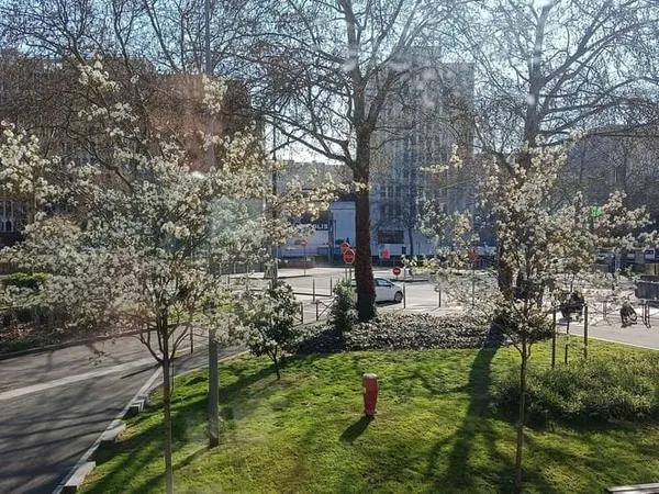 Appartement 4 pièces 130 m²