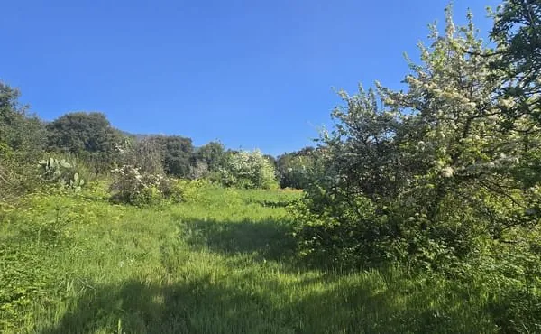 Terrain a bâtir Olmeto côté Propriano