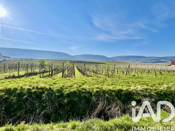 Terrain 1205 m²