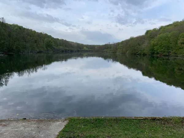 Propriété forestère avec étangs, dans l'Aisne (02)