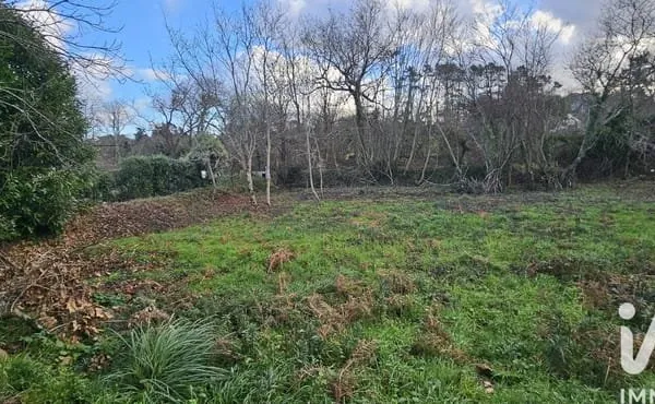 Terrain 3703 m²