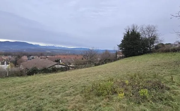 Terrain constructible