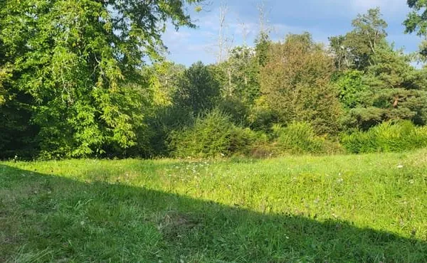 Terrain Sautron 920 m2