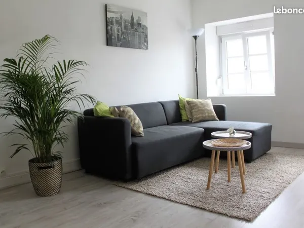 Appartement rénové en centre ville