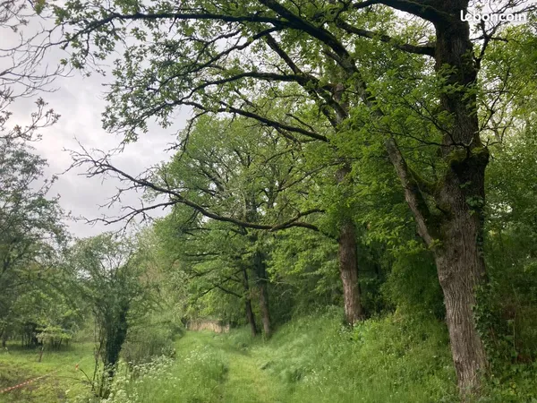 Terrain à Bégoux