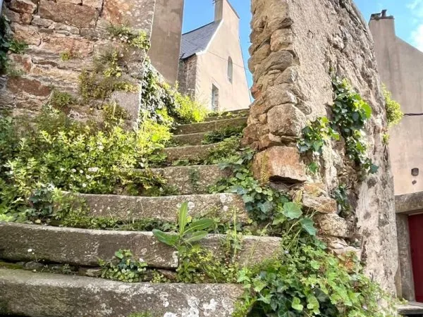 Charmant T3 56m2, Port de La Roche Bernard à 50m!