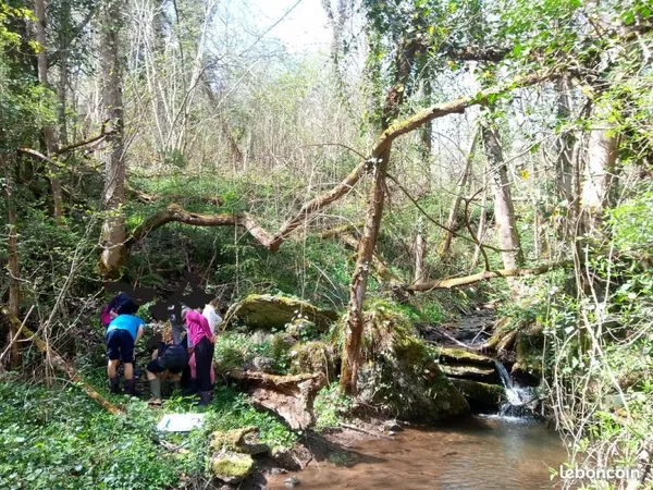 Terrain de loisir verger forêt ruisseau