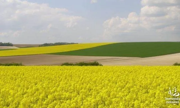 Bien agricole 120000 m²